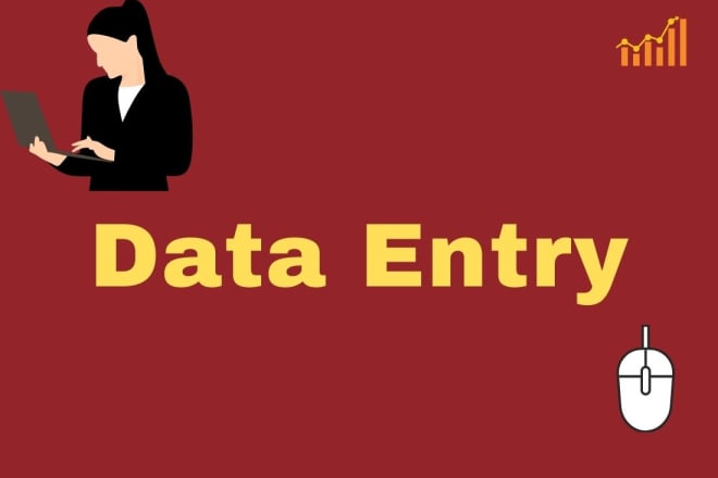 I will do data entry service for 3 hour