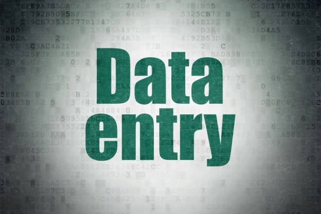 I will do data entry, typing, copy paste, data analysis