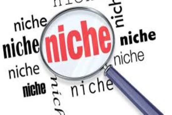 I will do deap niche research and find profitable micro niche