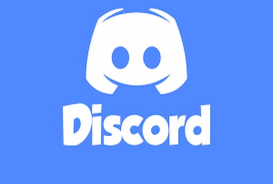 I will do discord promotion to gain massive members and activeness
