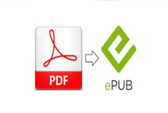 I will do ebook conversion from PDF to epub or kindle