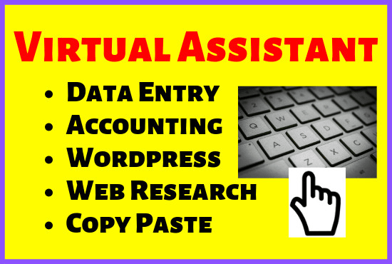 I will do excel data entry, web search, bookkeeping and finance job