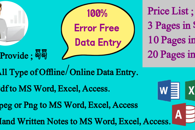 I will do fast data entry offline or online