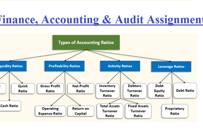 I will do financial analysis, ratio analysis, project reports and accounting evaluation