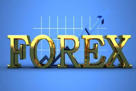 I will do forex account management service