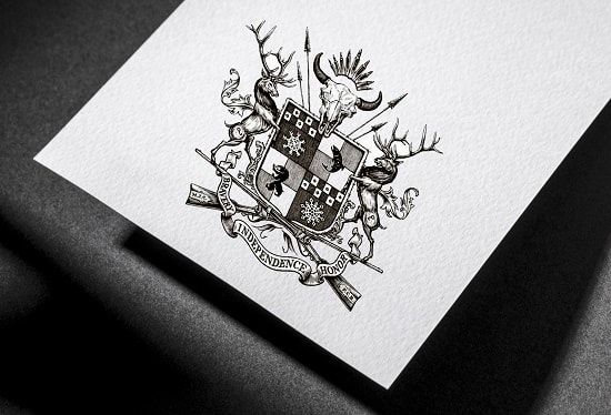 I will do incredible wonderful outstanding hand drawn coat of arms heraldry logo design