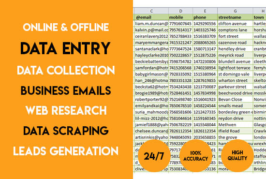 I will do killer data entry, web search, and data mining