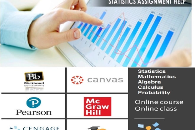 I will do online statistics,math, stats,assignment, class,course