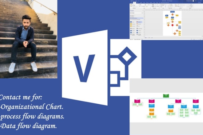 I will do org charts, organograms process flows, flow charts on ms visio