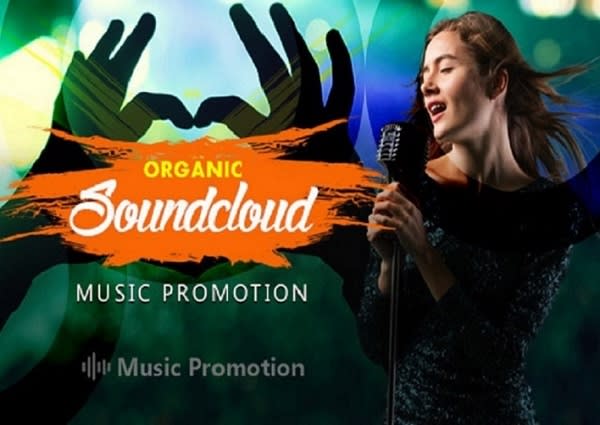 I will do organic soundcloud music promotion using paid ads campaign