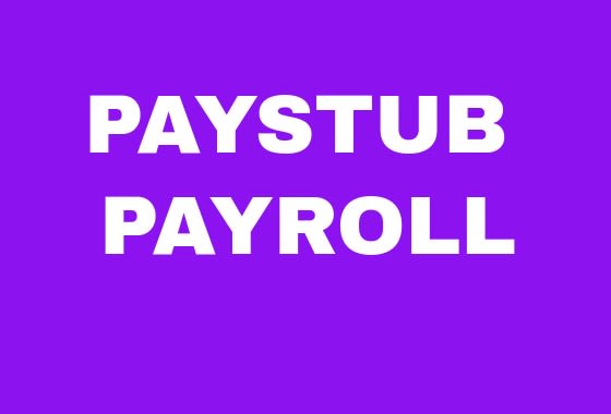 I will do paystubs, payroll,checks, stub reports with tax,