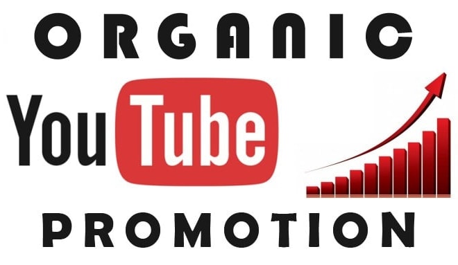 I will do professional organic best youtube video promotion with seo