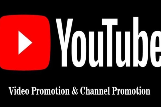 I will do professional organic youtube channel promotion
