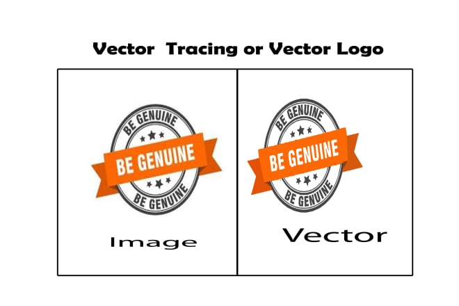 I will do provide vector trace or redraw logo service