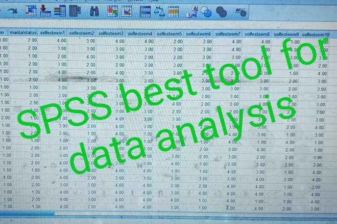 I will do statistical data analysis by using spss