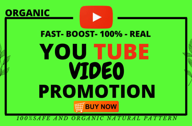 I will do super fast organic youtube promotion