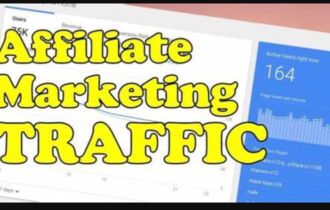 I will do viral affiliate referral promotion and affiliate marketing