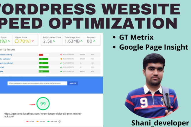 I will do wordpress website speed optimization and improve page speed