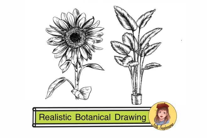 I will draw realistic botanical illustrations of flowers or plants