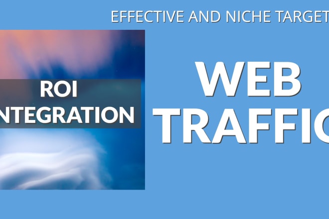 I will drive massive traffic to your website