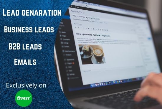 I will find leads, business leads, linkedin profiles and websites