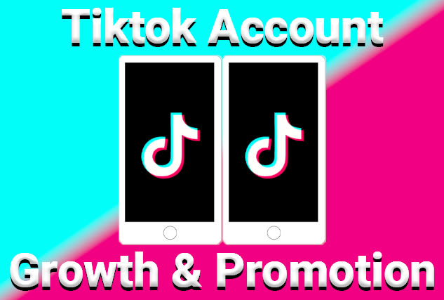 I will grow your tiktok organically to 50k in two weeks for 330 dollars