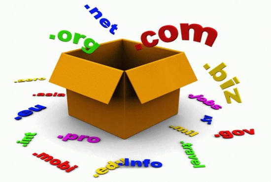 I will help you to find and buy high quality expired domains