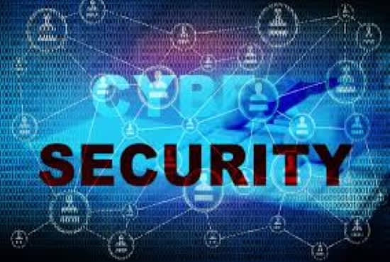 I will help you with cyber security assessments