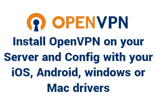 I will install openvpn and setup your ios android windows or mac