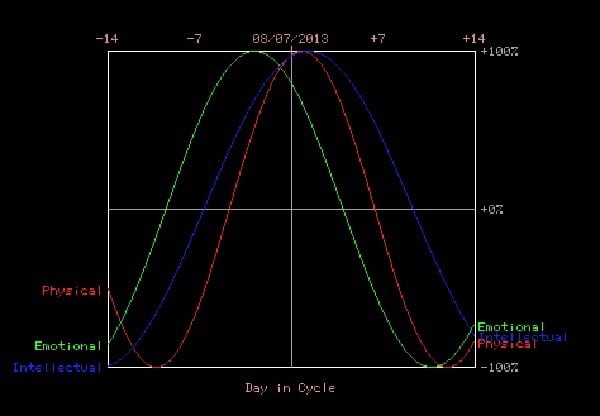 I will interpret your biorhythms and give advice and insights