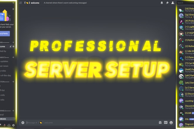 I will professionally setup a discord server for you