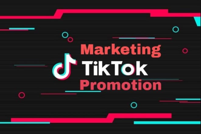 I will promote your song on my 41k follower tiktok account