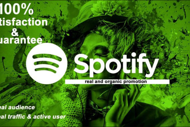 I will promote your spotify music to target audience