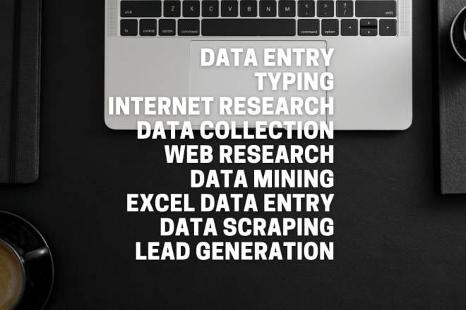 I will provide data entry services