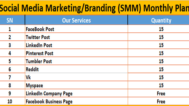 I will provide social media marketing and online business branding monthly service