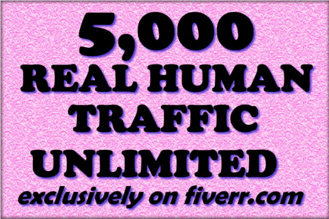 I will secure you real human MASSIVE traffic to your website and blog