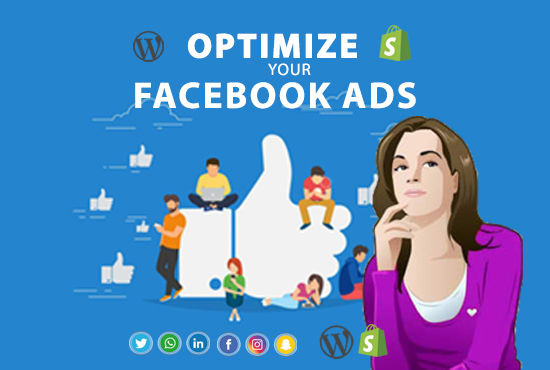 I will setup and optimize facebook ads with best targeted audience