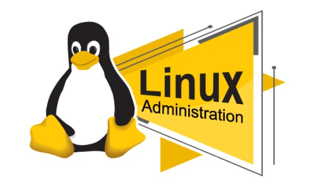 I will setup fix linux vps server, apache, nginx, php, mysql, lamp, dns, cloudflare