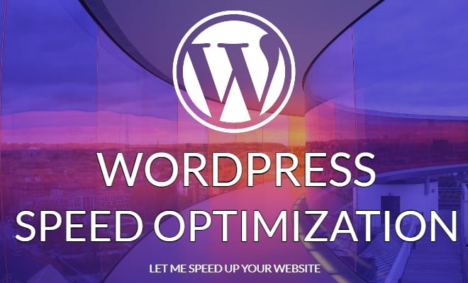 I will speed up your professional wordpress website