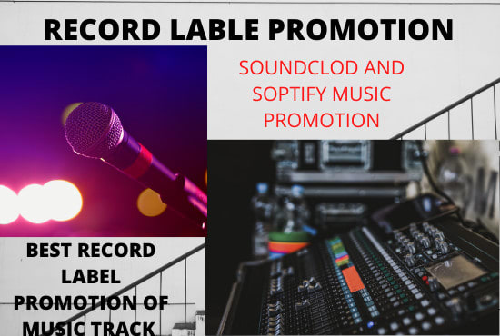 I will submit and send your music to record label managers and get you leads