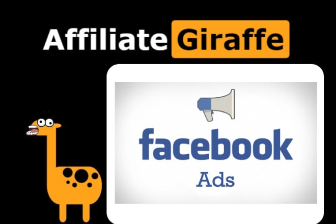 I will teach you how to sell using facebook ads