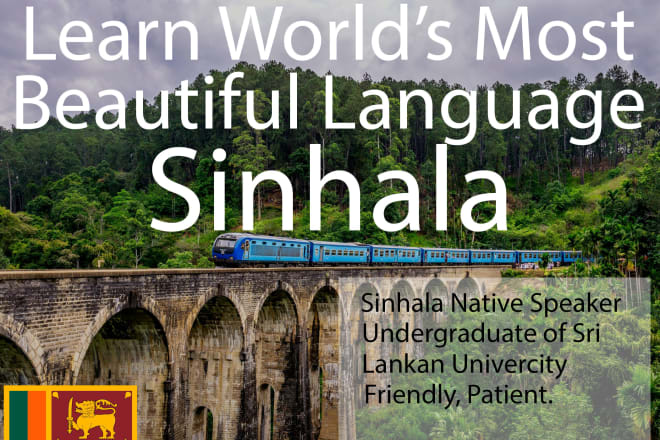 I will teach you sinhala language lessons over skype