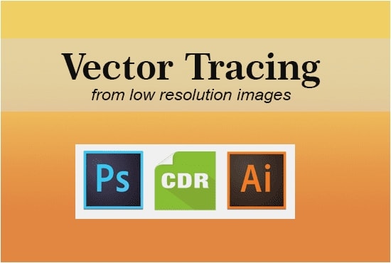 I will vectorize your bitmap image