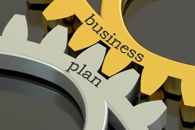 I will write a professional business plan for your startup company