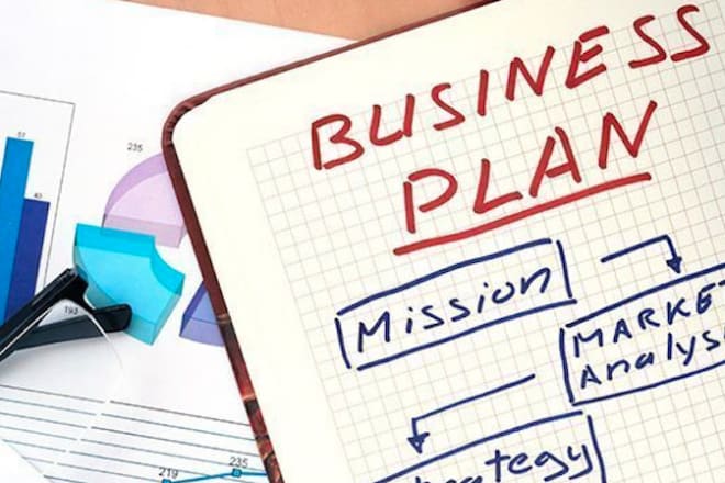 I will write top notch business plan