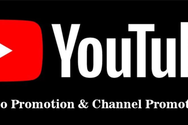 I will youtube channel promotion, increase channel organic audience