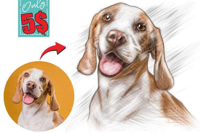 I will amazing sketch your pet with my style, with high file quality