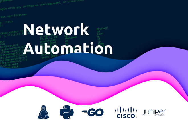 I will automate your network devices and infrastructure with python or golang