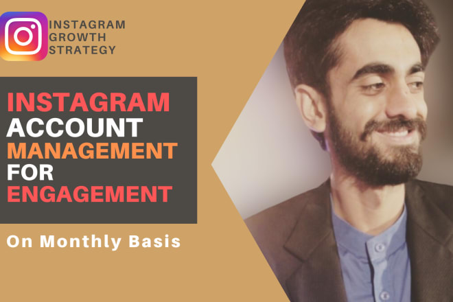 I will be your instagram manager