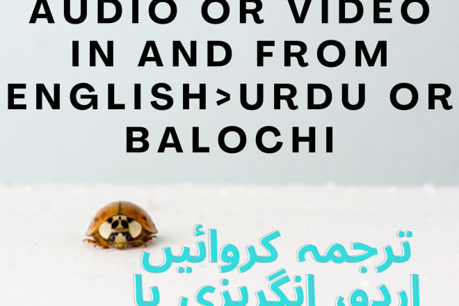I will be your translator for english to urdu, balochi and vice versa